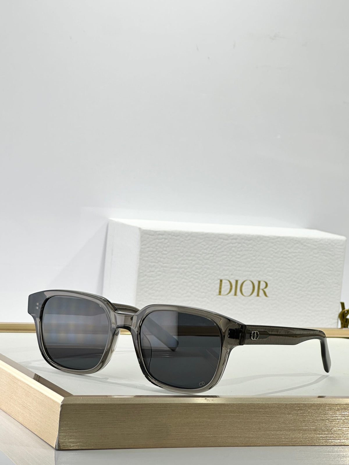 Dior CD lcon S4F Sunglasses
