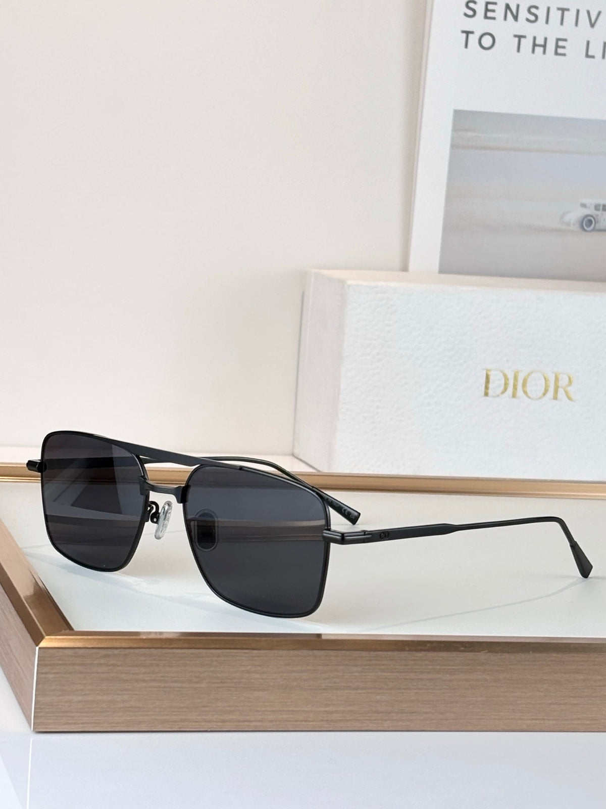 Dior Diorblacksuit s17U Sunglasses