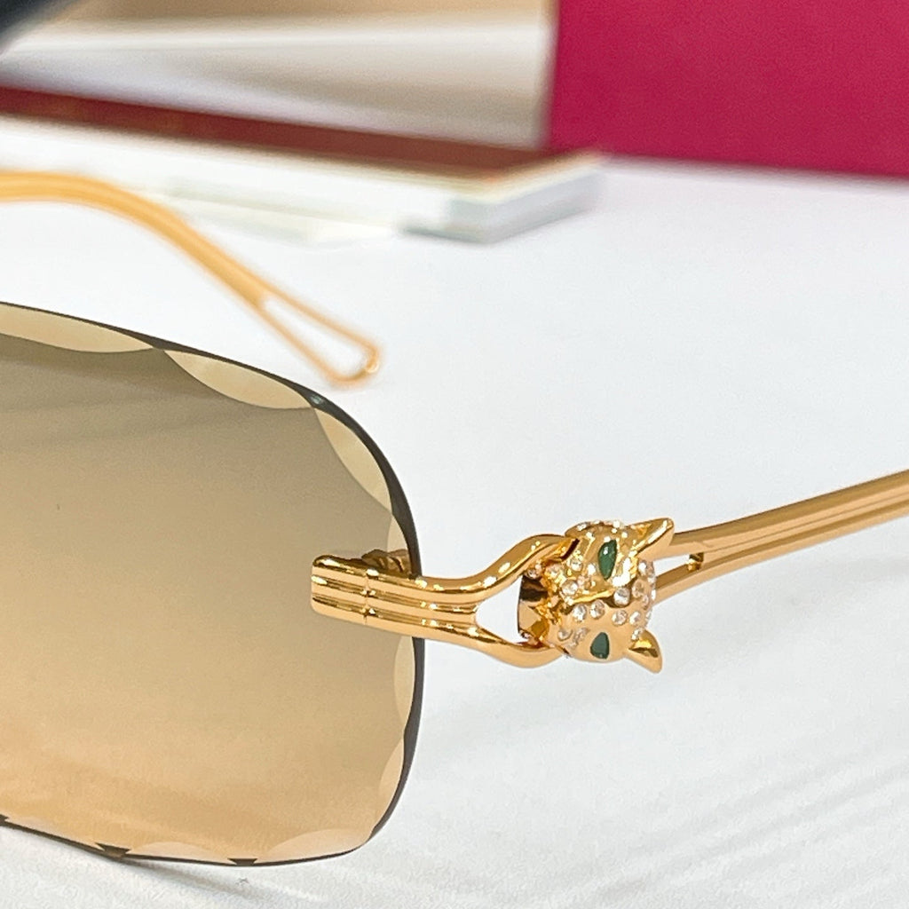 Cartier CT7072S Sunglasses