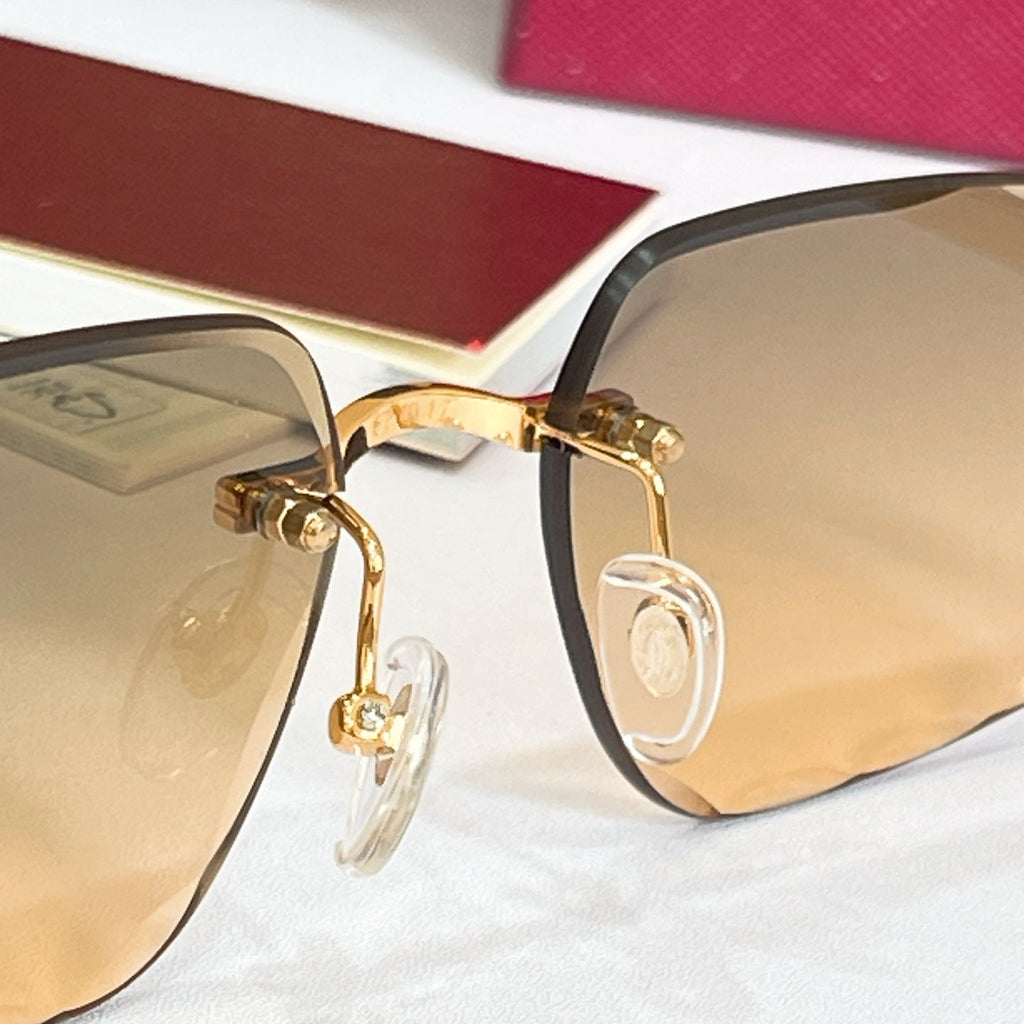 Cartier CT7072S Sunglasses