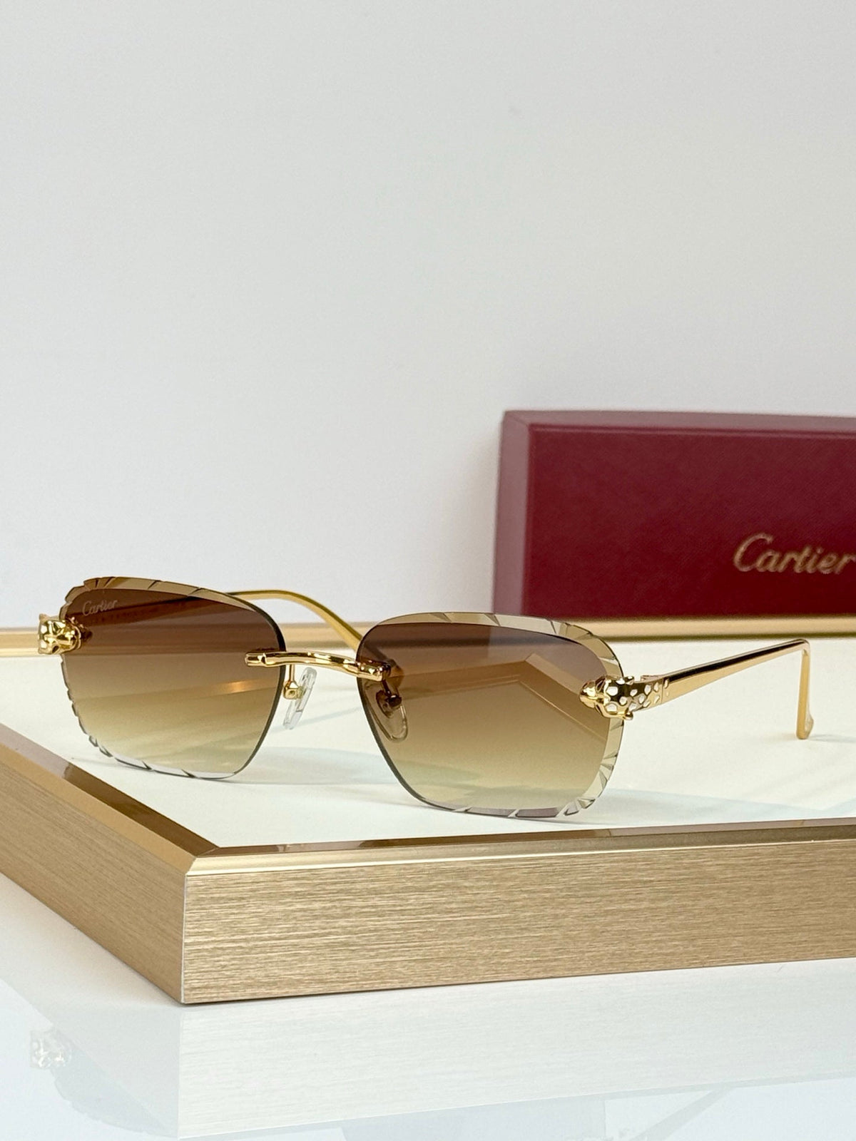 Cartier CT7450S Sunglasses