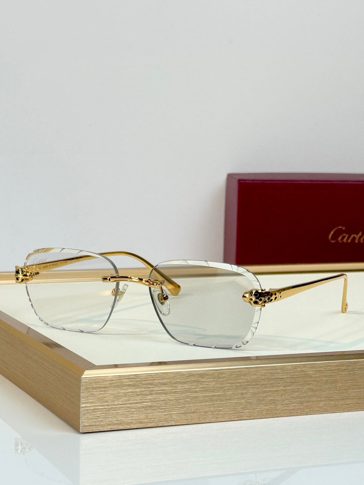 Cartier CT7450S Sunglasses